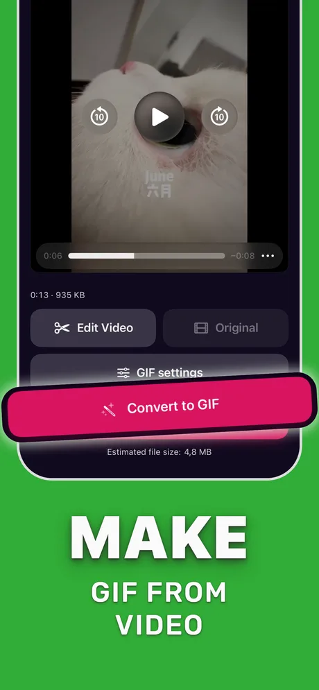 GIF settings in Make Video to GIF with a Convert to GIF button and an estimated file size of 4.8 MB